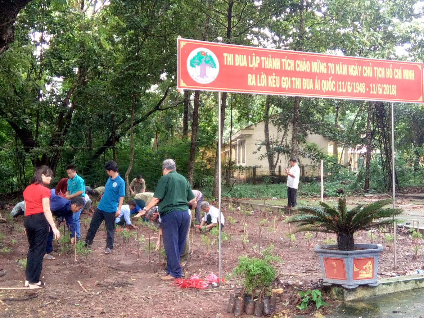 Hội người cao tuổi Lộc Ninh trồng cây đinh lăng tại Vườn cây huyện ủy