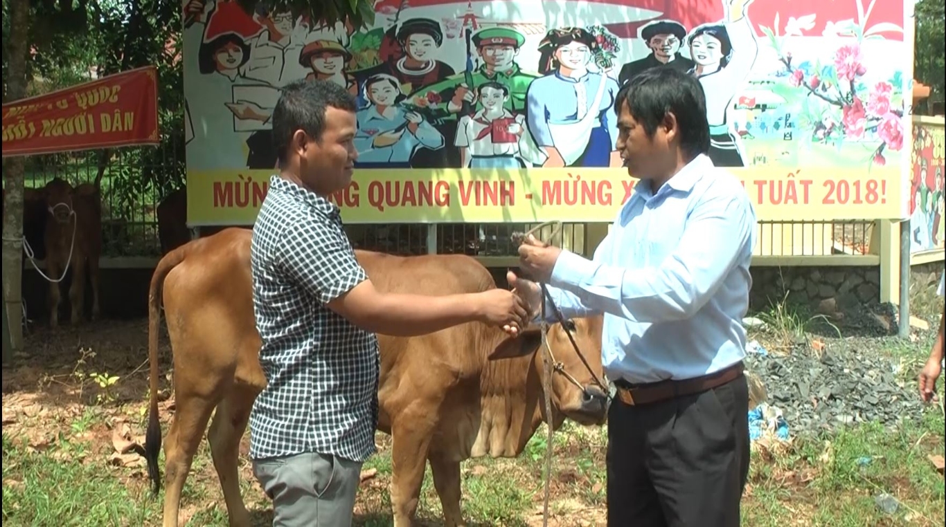 Ban Dân tộc tỉnh tặng bò giống sinh sản cho hộ nghèo xã Lộc Quang