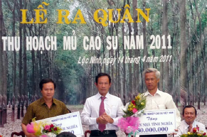 Công ty TNHH MTV Cao su Lộc Ninh: Năm 2011 phấn đấu đạt 12.400 tấn mủ